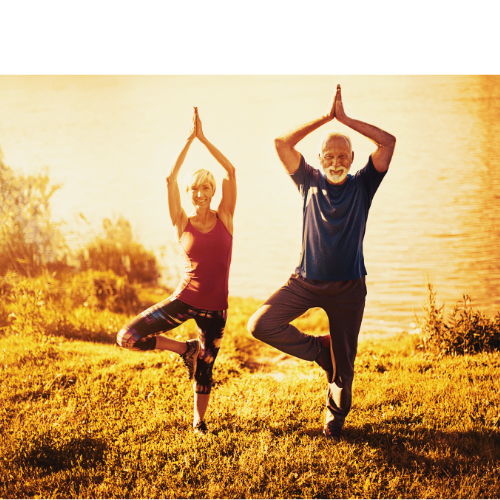 Yoga for Seniors: Staying Active and Flexible in Golden Years
